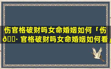 伤官格破财吗女命婚姻如何「伤 🕷 官格破财吗女命婚姻如何看」